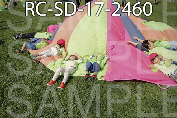 RC-SD-17-2460.jpg