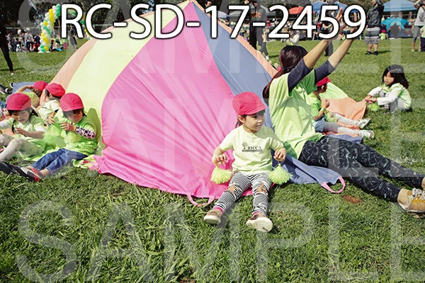 RC-SD-17-2459.jpg