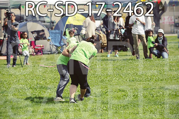 RC-SD-17-2462.jpg
