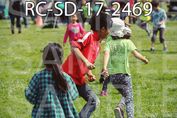 RC-SD-17-2469.jpg