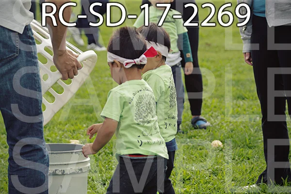 RC-SD-17-2269.jpg