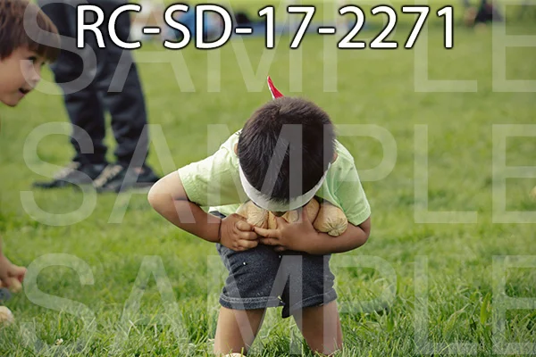 RC-SD-17-2271.jpg