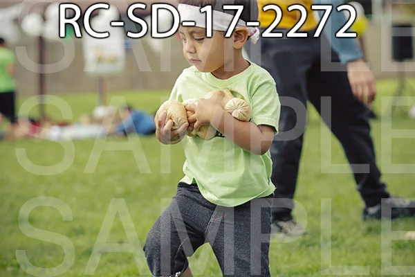 RC-SD-17-2272.jpg
