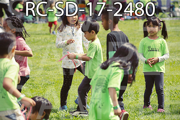 RC-SD-17-2480.jpg