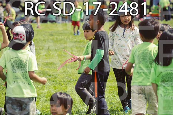 RC-SD-17-2481.jpg