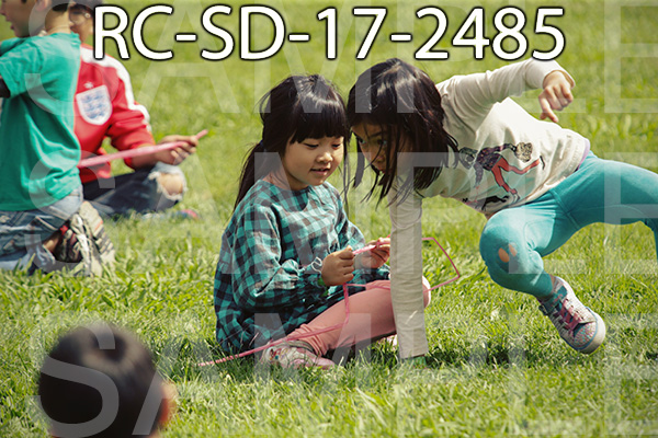 RC-SD-17-2485.jpg