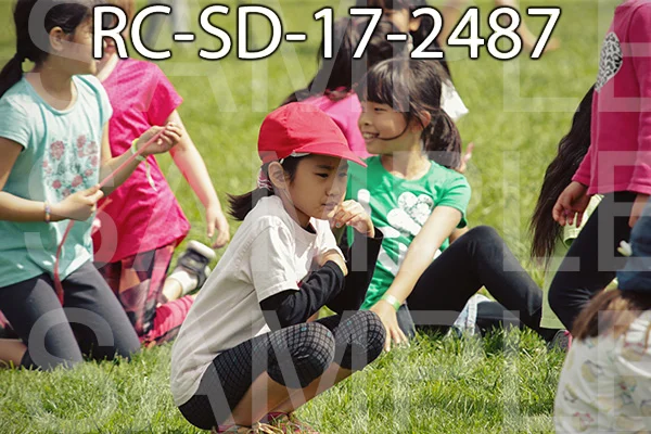 RC-SD-17-2487.jpg