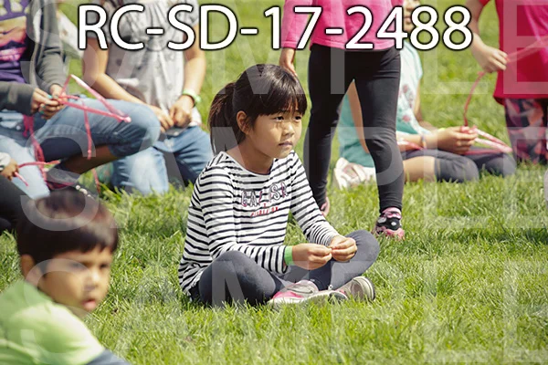 RC-SD-17-2488.jpg