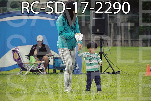 RC-SD-17-2290.jpg