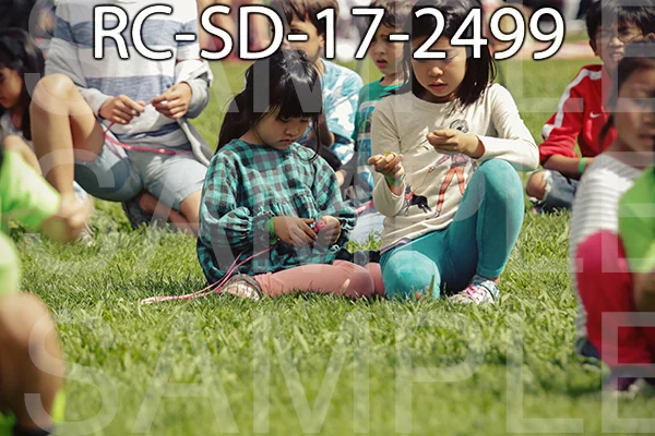 RC-SD-17-2499.jpg