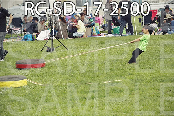 RC-SD-17-2500.jpg