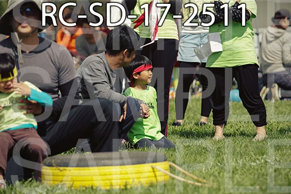 RC-SD-17-2511.jpg