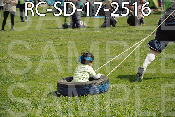 RC-SD-17-2516.jpg