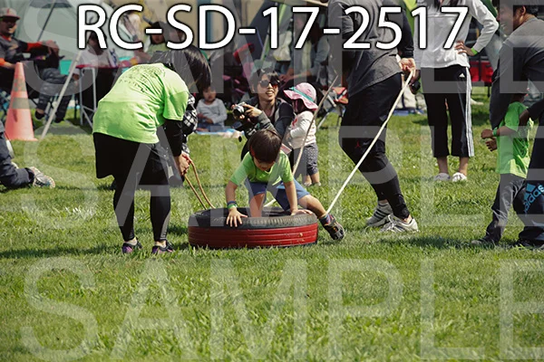 RC-SD-17-2517.jpg