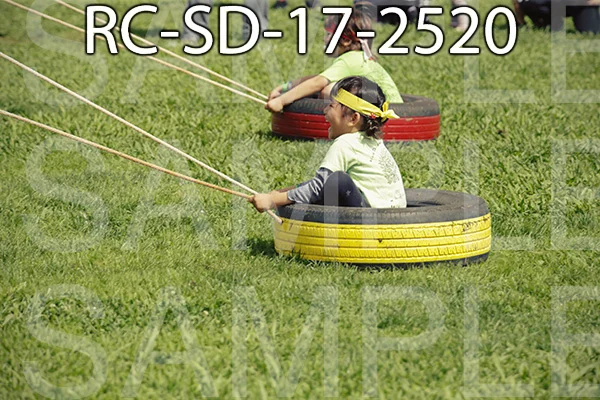 RC-SD-17-2520.jpg