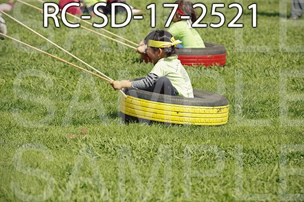 RC-SD-17-2521.jpg