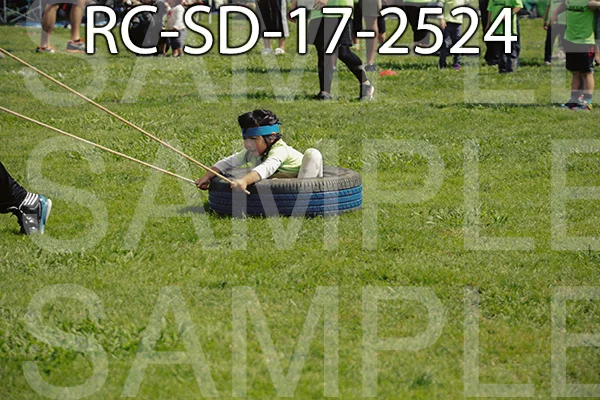 RC-SD-17-2524.jpg