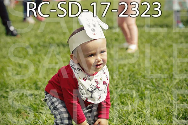 RC-SD-17-2323.jpg