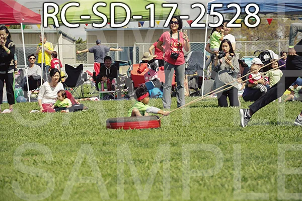 RC-SD-17-2528.jpg