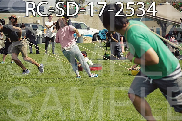 RC-SD-17-2534.jpg