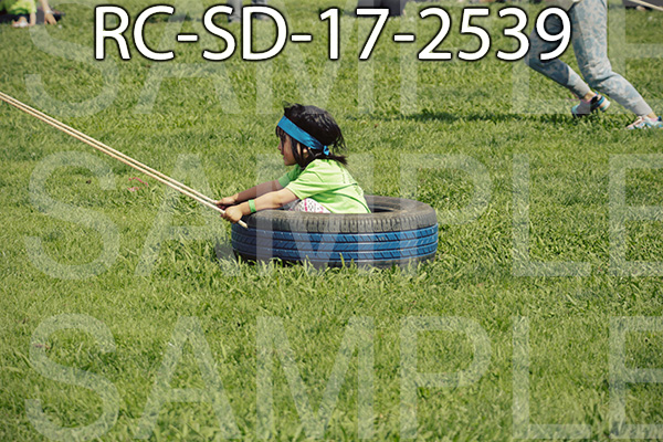 RC-SD-17-2539.jpg