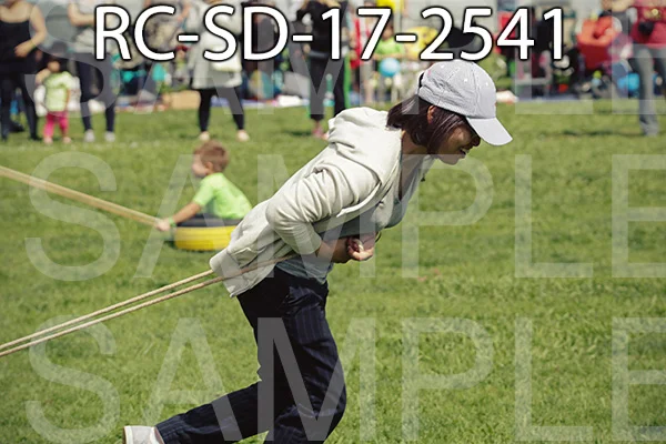 RC-SD-17-2541.jpg