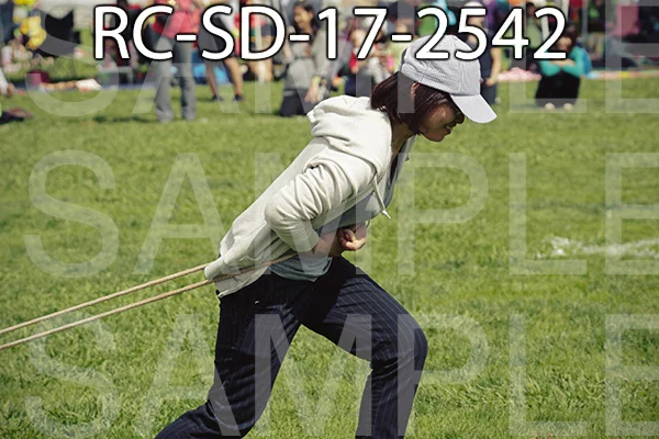 RC-SD-17-2542.jpg