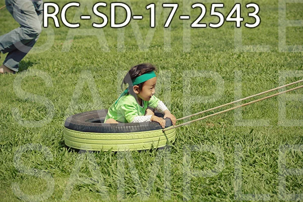 RC-SD-17-2543.jpg