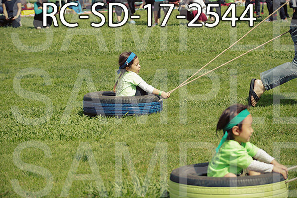 RC-SD-17-2544.jpg