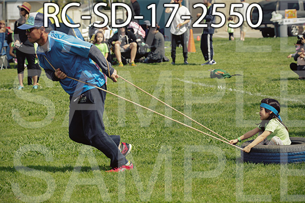 RC-SD-17-2550.jpg