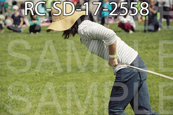 RC-SD-17-2558.jpg