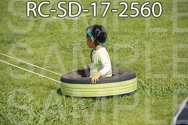 RC-SD-17-2560.jpg