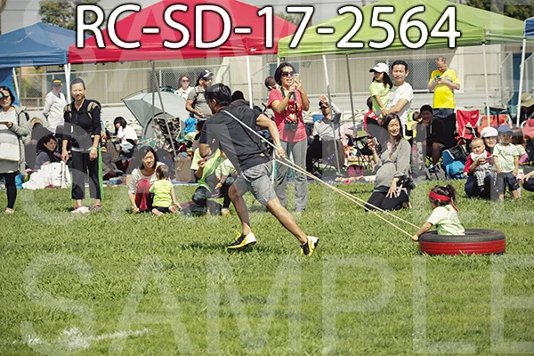 RC-SD-17-2564.jpg