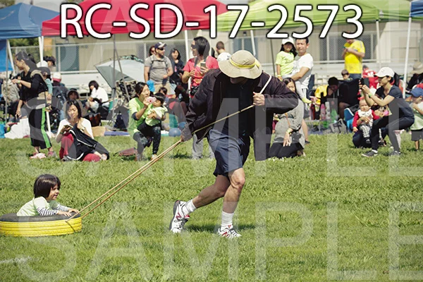 RC-SD-17-2573.jpg