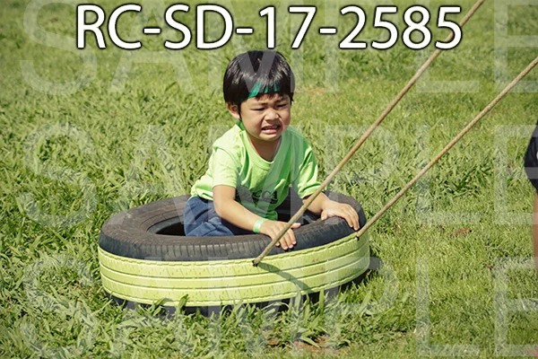 RC-SD-17-2585.jpg