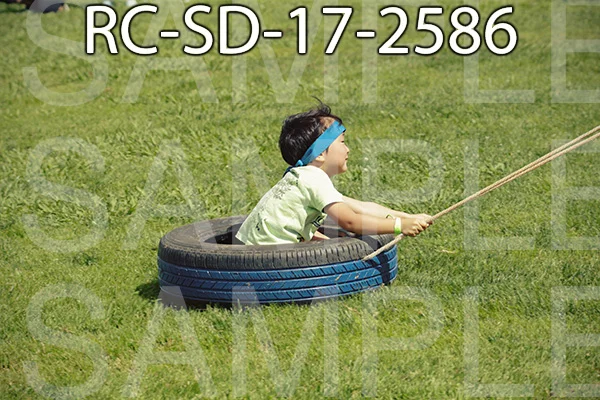 RC-SD-17-2586.jpg