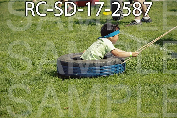 RC-SD-17-2587.jpg