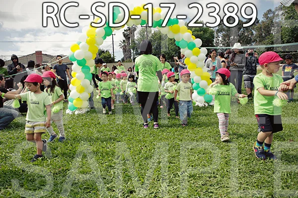 RC-SD-17-2389.jpg