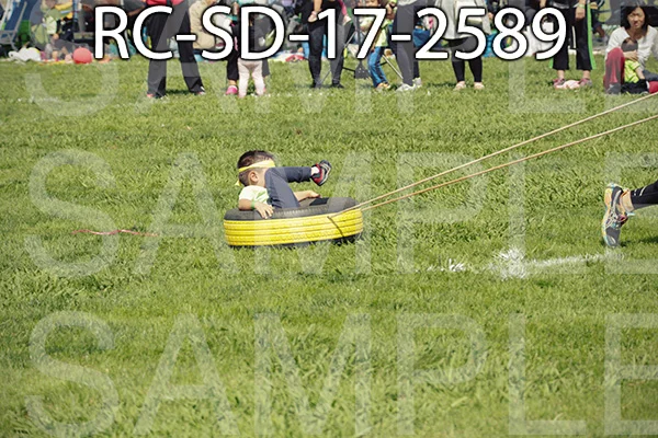 RC-SD-17-2589.jpg