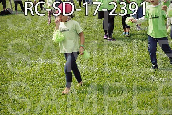 RC-SD-17-2391.jpg
