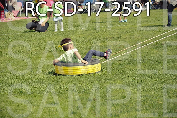 RC-SD-17-2591.jpg