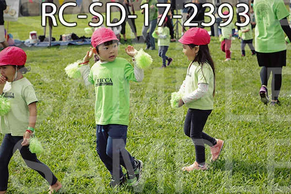 RC-SD-17-2393.jpg