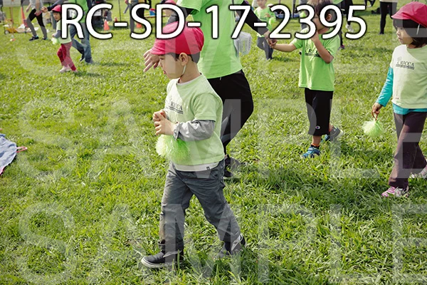 RC-SD-17-2395.jpg