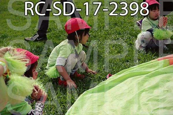 RC-SD-17-2398.jpg