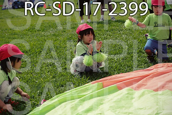RC-SD-17-2399.jpg
