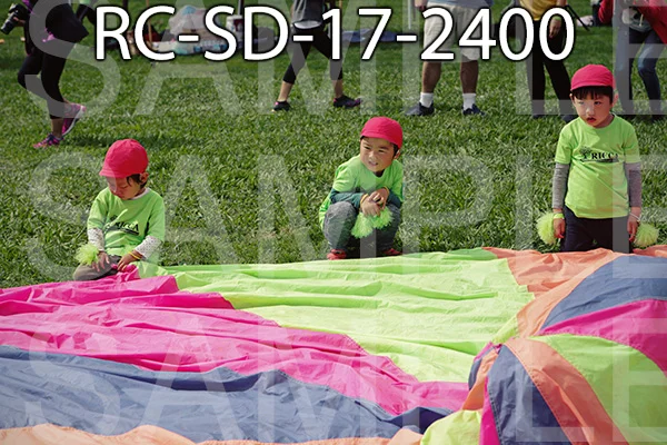 RC-SD-17-2400.jpg