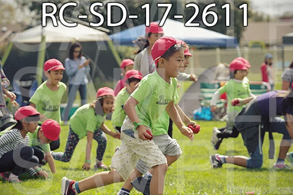 RC-SD-17-2611.jpg