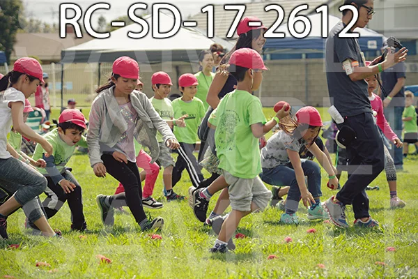 RC-SD-17-2612.jpg