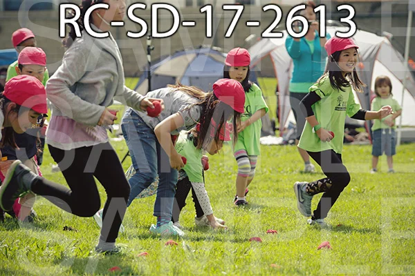 RC-SD-17-2613.jpg