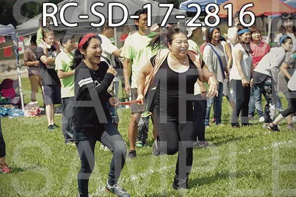 RC-SD-17-2816.jpg